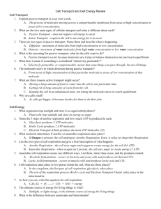 Cell Processes Review Answers