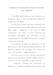 IV MEETING OF THE MINISTERS OF HEALTH OF THE BRICS