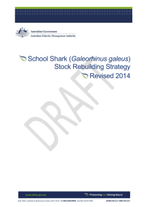 Draft School Shark Rebuilding Strategy 2014