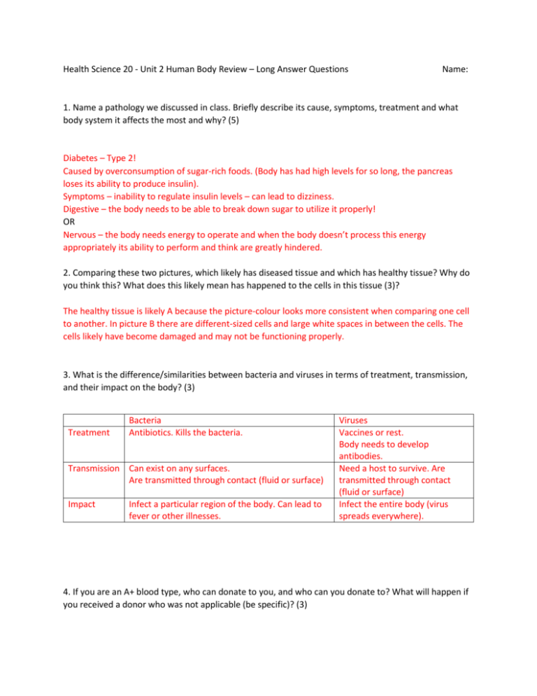 Human Body Review Long Answer Qs CORRECTED