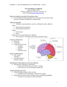 stoehr_handout - Center for Applied Behavioral Health Policy