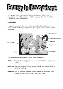 Energy in Ecosystems pupil notes