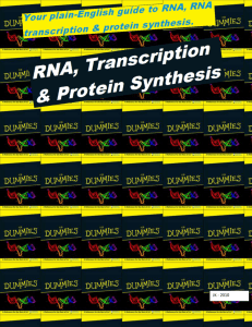 RNA, Transcription & Translation