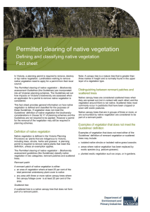 Defining and classifying native vegetation