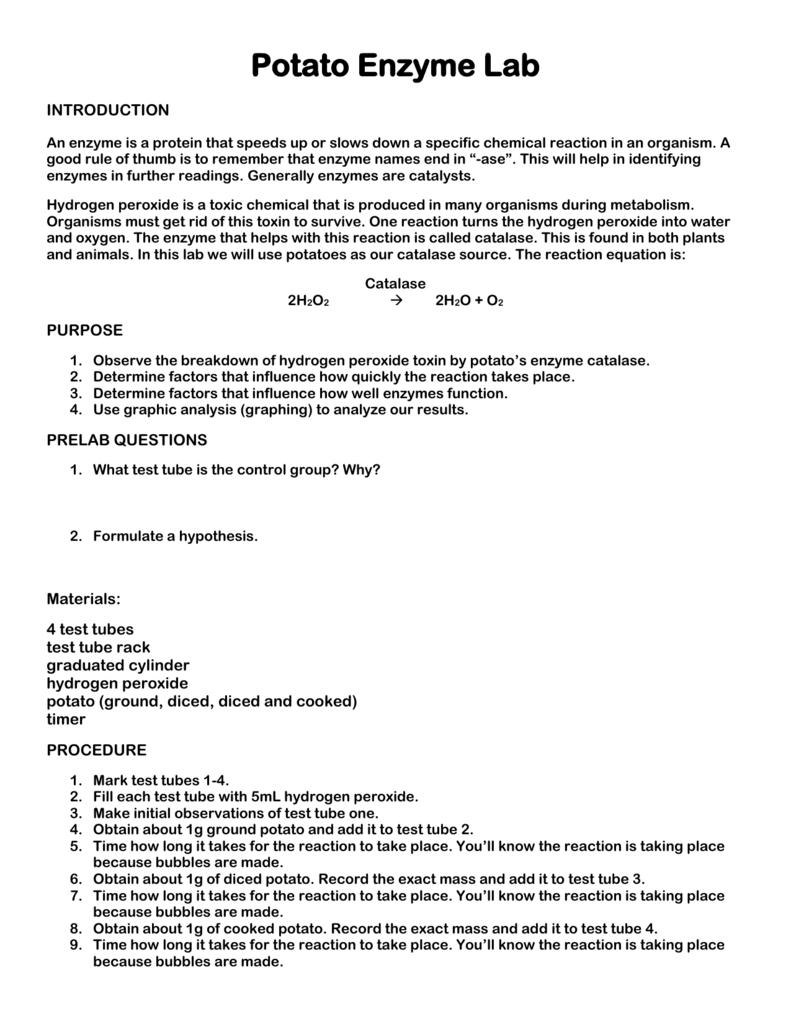 enzymes lab report assistant