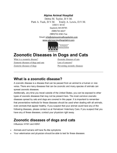 What is a zoonotic disease?