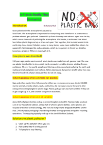 Tana Plastic Report