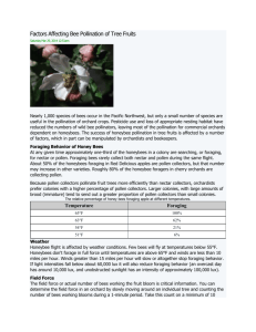 Factors Affecting Bee Pollination of Tree Fruits