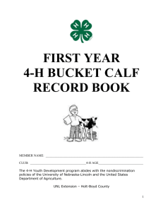 first year 4-h bucket calf record book