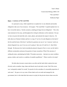 Реферат: Land Ethics Essay Research Paper Land Ethics