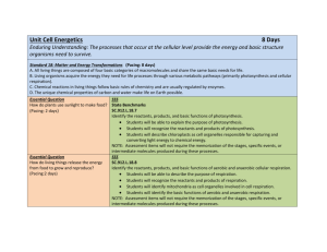 Biology Curriculum Guide (Austins Portion) Cells Energeti