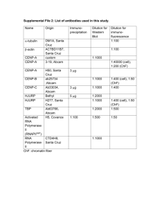 Supplemental File 2: List of antibodies used in this study. Name