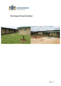 Peter Zongwane Primary School Report
