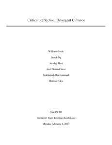 Team 6 – Critical Reflection: Divergent Cultures