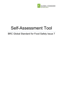 Self Assessment Tool Issue 7 (English)