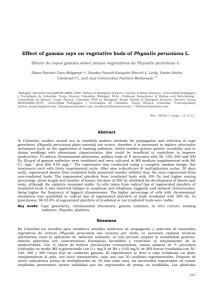 Effect of gamma rays on vegetative buds of Physalis peruviana L.