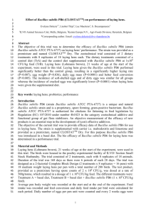 Efficacy of probiotic Bacillus subtilis PB6 in laying hens.