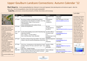 Autumn newsletter 2012 -2