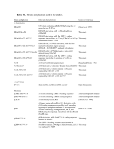 tpj12397-sup-0007-TableS1