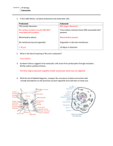 2.3 Eukaryote Questions Answered
