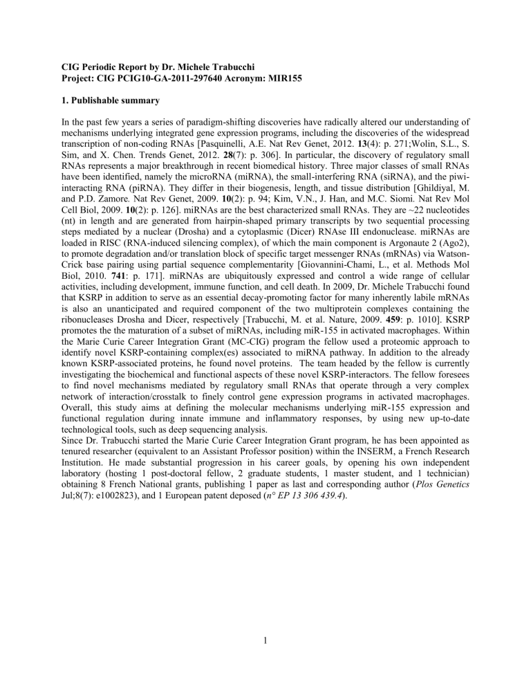 Periodic1-cig-periodic-report