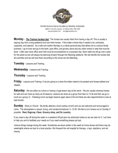 Performance Horse Internship Weekly Schedule