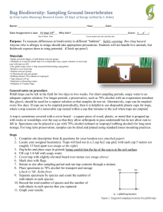 Bug Biodiversity Lab