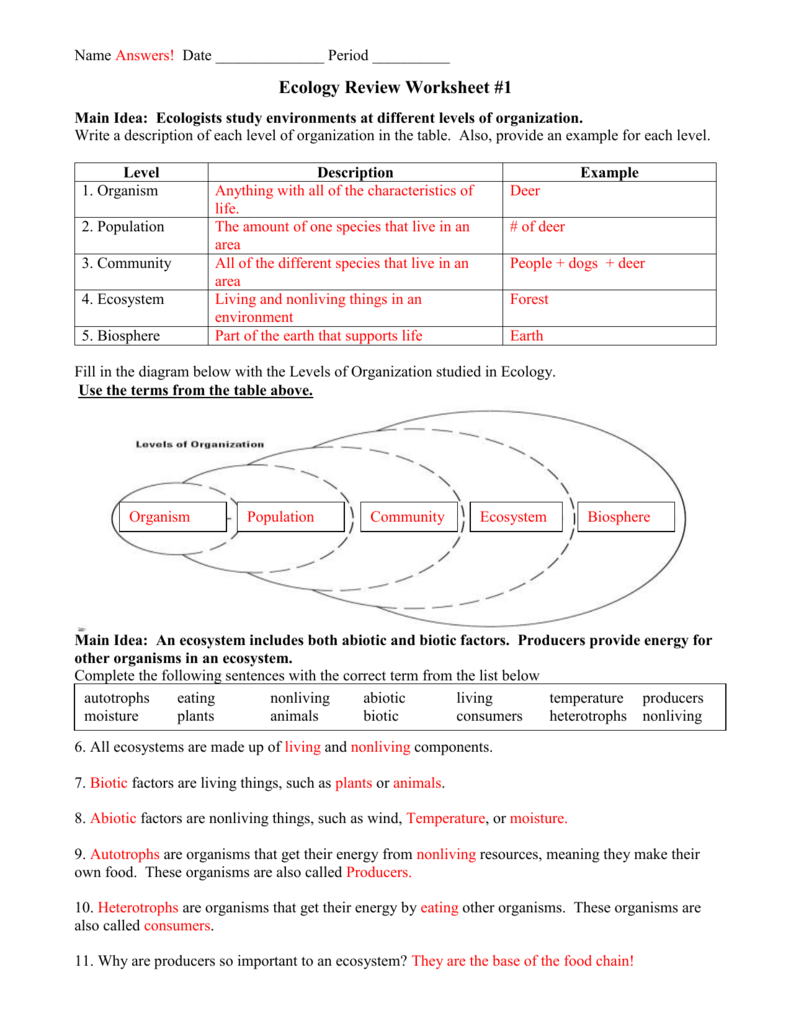 Levels Of Organization Worksheet