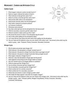 Worksheet: Carbon and Nitrogen Cycle