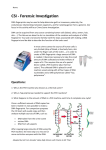 CSI Worksheet DNA Fingerprinting