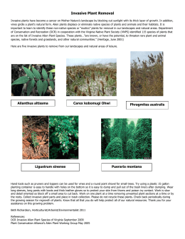 No Material Ethical Issues Tool (NMEIT)