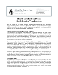 Health Care for Feral Cats: Guidelines for Veterinarians