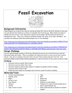 Fossil Excavation Background Information