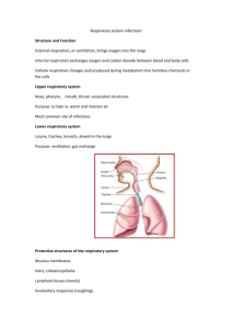 Respiratory system infections Structure and Function External