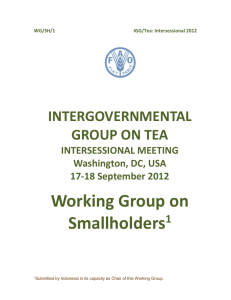 Working Group on Smallholders - Food and Agriculture Organization