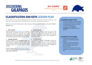 1A4 Classification and Keys MSWord Lesson Plan KS2