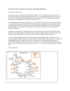 Station 4 The Theme of Citric Acid Cycle in Glycolysis and Cellular