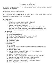 Example of Formal Lab Report