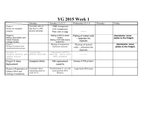 YG practical course schedule 2015
