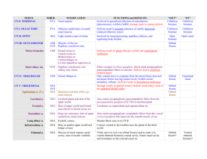 NERVE FIBER INNERVATION FUNCTIONS and DEFICITS “OUT