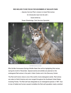 GA November is Red Wolf Month at the Wildlife Park 2015