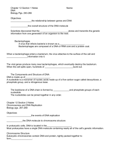 Chapter 12 Section 1 Notes Name: DNA Biology Pgs. 263