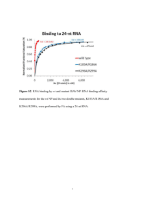 Structure and RNA binding of an orthomyxovirus