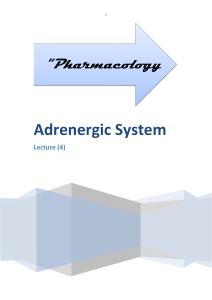 Adrenergic System