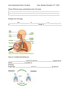 How Contaminants Enter the Body work sheet