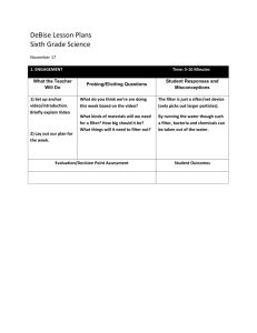 5E Lesson Template