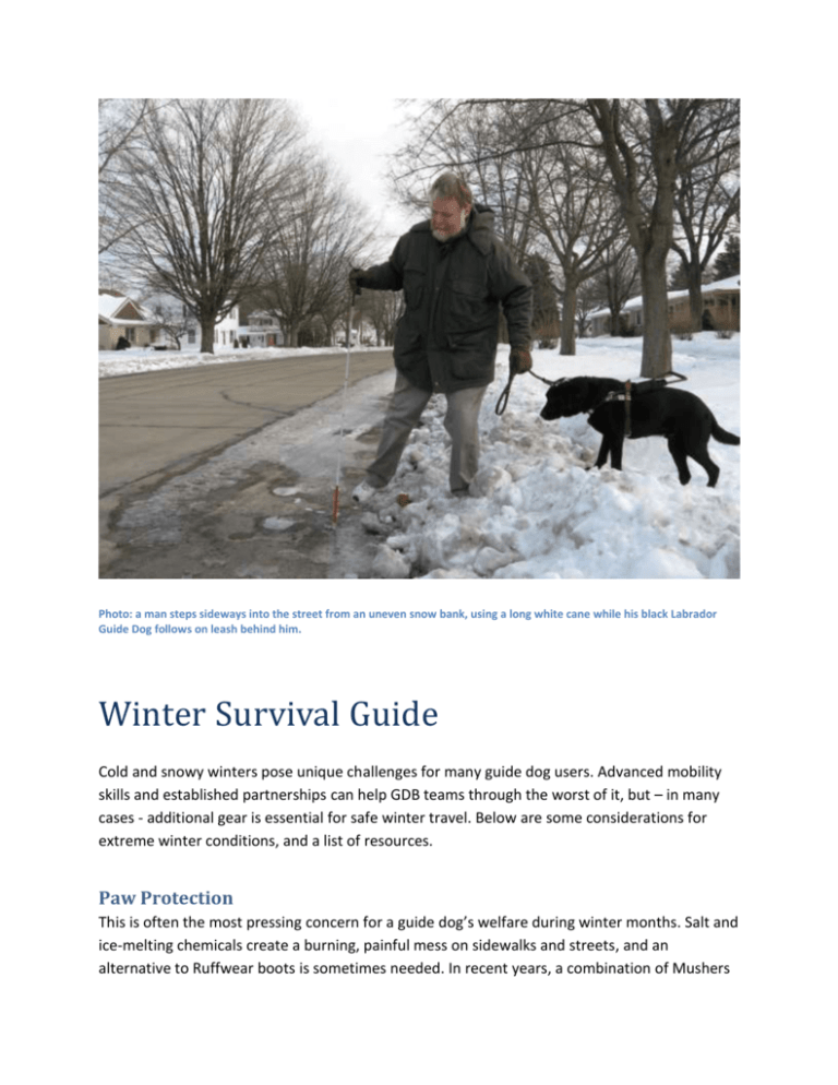 Paw Protection Guide Dogs for the Blind