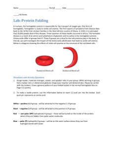 Lab: Protein Folding