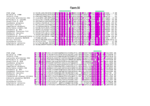 file - BioMed Central