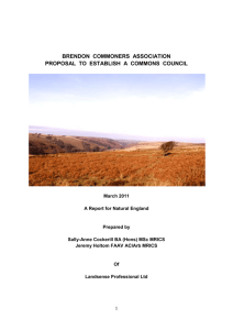 Brendon Commoners Association proposal to establish a commons